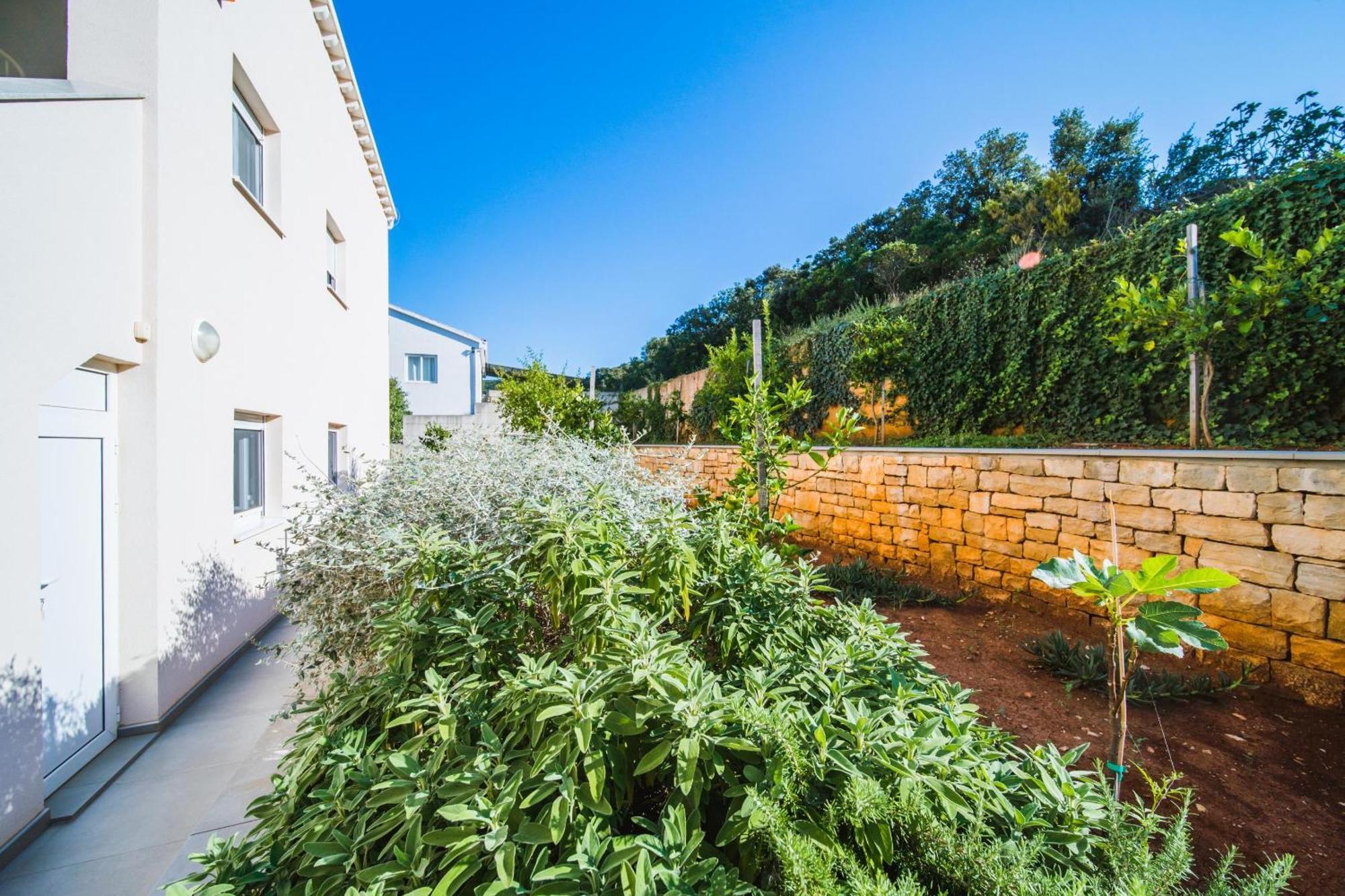 Villa Teuta 코츌라 외부 사진